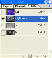 Lightness Channel