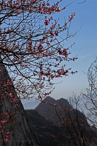 西岳華山
