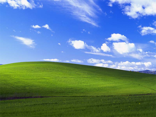 Windows XP Wallpaper: Bliss