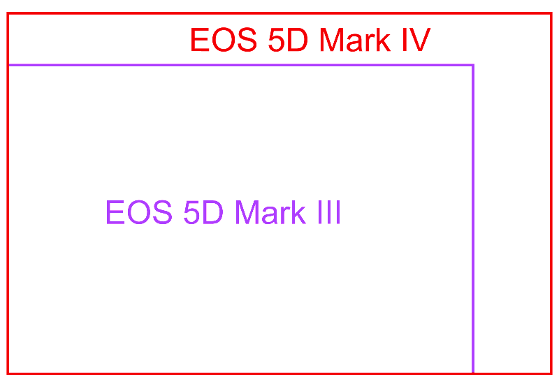 EOS 5D Mark III 和 Mark IV 像素比較