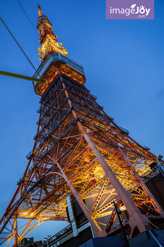 東京鐵塔全貌