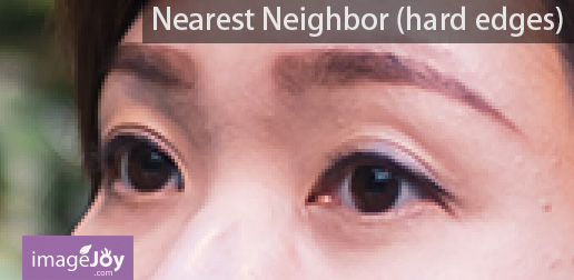 使用 Nearest neighbor (hard edges) 放大後的結果